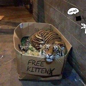 色天使在线观看
